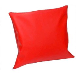 COUSSIN OREILLER