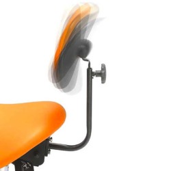 OPTION DOSSIER TABOURET PONY OU SIEGE SELLE