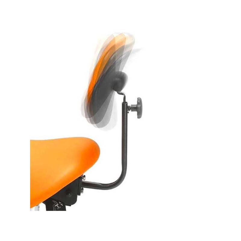 OPTION DOSSIER TABOURET PONY OU SIEGE SELLE