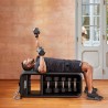 BANC TECHNOGYM BENCH