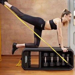 BANC TECHNOGYM BENCH