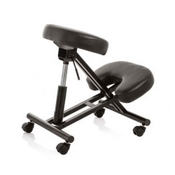 SIEGE ERGONOMIQUE