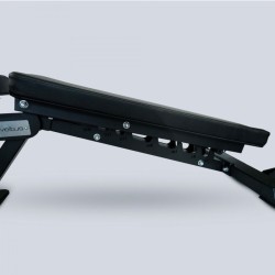 BANC TRAINING PRO REGLABLE